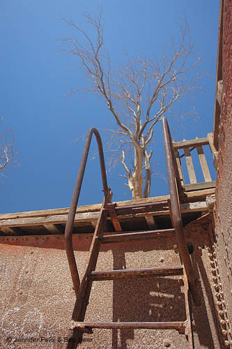 01_Humberstone_007_l