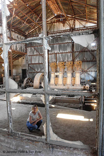 01_Humberstone_027_l