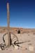 01_Humberstone_040_l